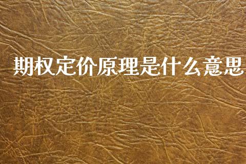 期权定价原理是什么意思_https://m.15771688.com_期货开户_第1张