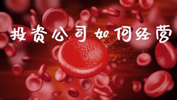 投资公司如何经营_https://m.15771688.com_美国道指_第1张