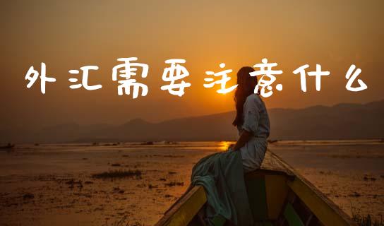 外汇需要注意什么_https://m.15771688.com_美国道指_第1张