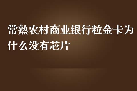 常熟农村商业银行粒金卡为什么没有芯片_https://m.15771688.com_美国道指_第1张
