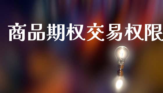 商品期权交易权限_https://m.15771688.com_美国道指_第1张