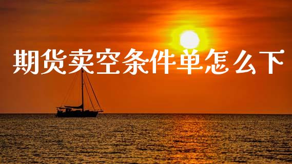 期货卖空条件单怎么下_https://m.15771688.com_期货手续费_第1张