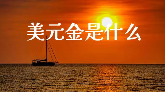 美元金是什么_https://m.15771688.com_期货开户_第1张