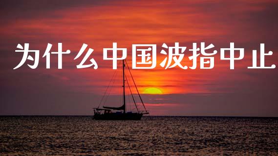 为什么中国波指中止_https://m.15771688.com_美国道指_第1张
