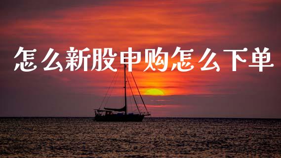 怎么新股申购怎么下单_https://m.15771688.com_期货手续费_第1张