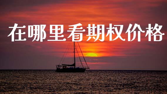 在哪里看期权价格_https://m.15771688.com_期货手续费_第1张