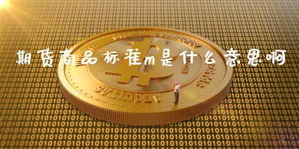 期货商品标准m是什么意思啊_https://m.15771688.com_美国道指_第1张