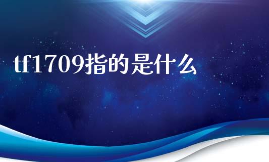 tf1709指的是什么_https://m.15771688.com_美国道指_第1张