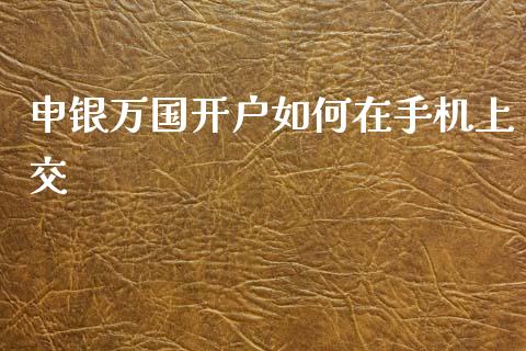 申银万国开户如何在手机上交_https://m.15771688.com_期货开户_第1张