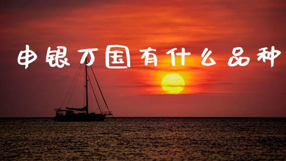 申银万国有什么品种_https://m.15771688.com_期货开户_第1张