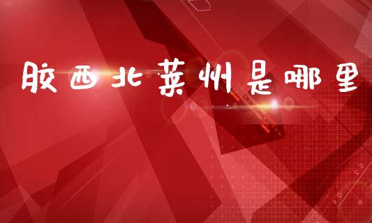 胶西北莱州是哪里_https://m.15771688.com_期货手续费_第1张