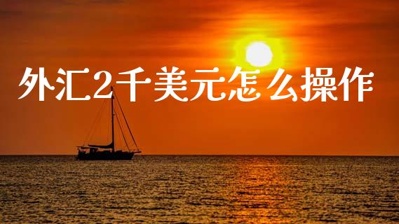 外汇2千美元怎么操作_https://m.15771688.com_道指实时行情_第1张
