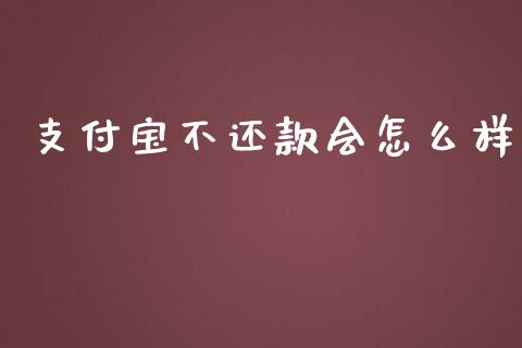 支付宝不还款会怎么样_https://m.15771688.com_美国道指_第1张