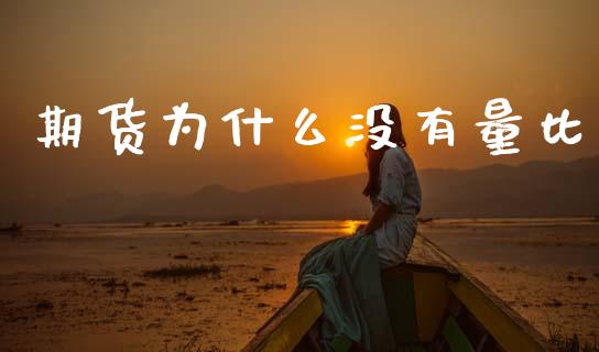 期货为什么没有量比_https://m.15771688.com_期货手续费_第1张