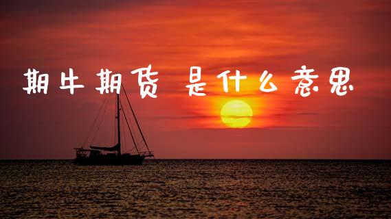 期牛期货 是什么意思_https://m.15771688.com_道指实时行情_第1张