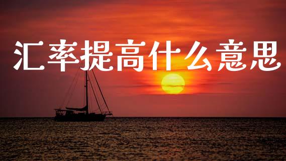 汇率提高什么意思_https://m.15771688.com_期货手续费_第1张