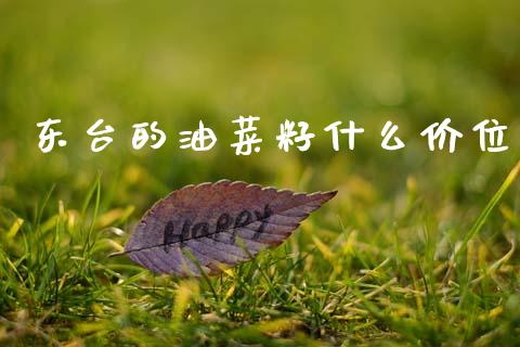 东台的油菜籽什么价位_https://m.15771688.com_道指实时行情_第1张