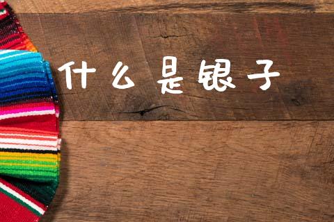 什么是银子_https://m.15771688.com_道指实时行情_第1张
