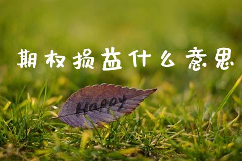 期权损益什么意思_https://m.15771688.com_美国道指_第1张