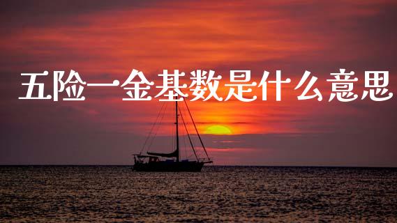 五险一金基数是什么意思_https://m.15771688.com_道指实时行情_第1张