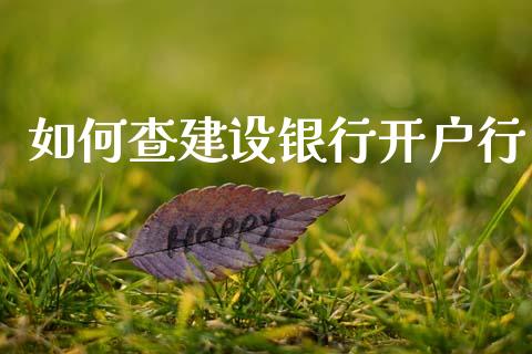 如何查建设银行开户行_https://m.15771688.com_美国道指_第1张