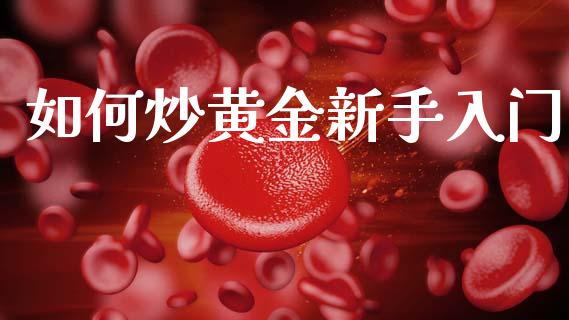 如何炒黄金新手入门_https://m.15771688.com_期货手续费_第1张