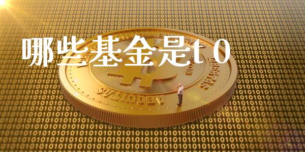 哪些基金是t 0_https://m.15771688.com_期货开户_第1张