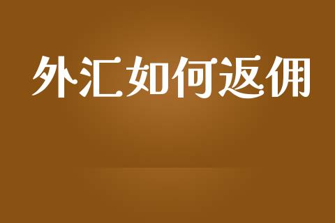 外汇如何返佣_https://m.15771688.com_期货手续费_第1张