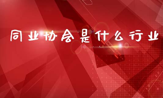 同业协会是什么行业_https://m.15771688.com_道指实时行情_第1张