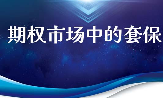 期权市场中的套保_https://m.15771688.com_期货开户_第1张