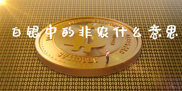 白银中的非农什么意思_https://m.15771688.com_期货手续费_第1张