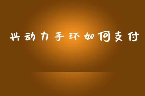 兴动力手环如何支付_https://m.15771688.com_期货手续费_第1张