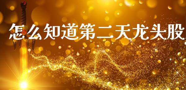 怎么知道第二天龙头股_https://m.15771688.com_期货开户_第1张
