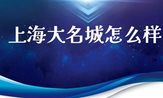 上海大名城怎么样_https://m.15771688.com_期货开户_第1张