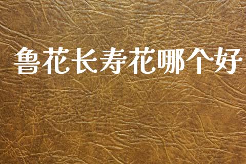 鲁花长寿花哪个好_https://m.15771688.com_期货开户_第1张