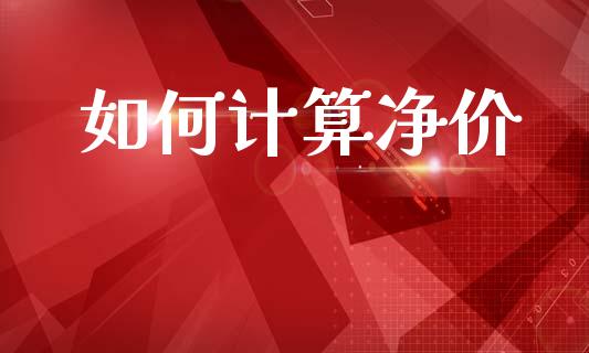 如何计算净价_https://m.15771688.com_期货开户_第1张