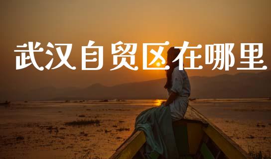 武汉自贸区在哪里_https://m.15771688.com_美国道指_第1张