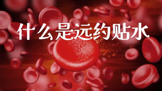 什么是远约贴水_https://m.15771688.com_道指实时行情_第1张
