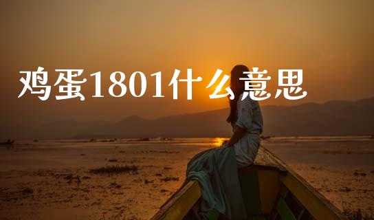 鸡蛋1801什么意思_https://m.15771688.com_期货手续费_第1张
