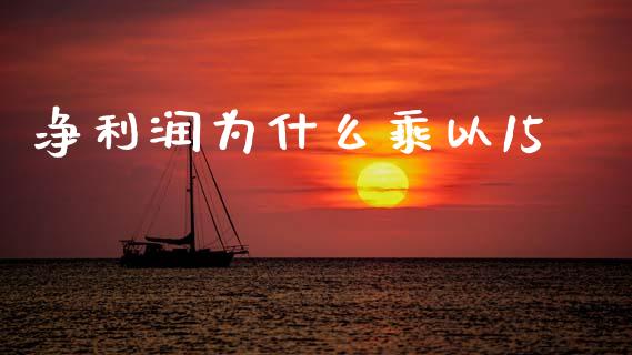 净利润为什么乘以15_https://m.15771688.com_道指实时行情_第1张