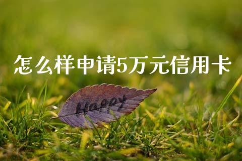 怎么样申请5万元信用卡_https://m.15771688.com_期货手续费_第1张