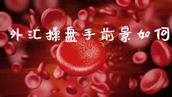 外汇操盘手前景如何_https://m.15771688.com_道指实时行情_第1张