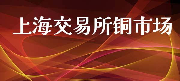 上海交易所铜市场_https://m.15771688.com_期货手续费_第1张