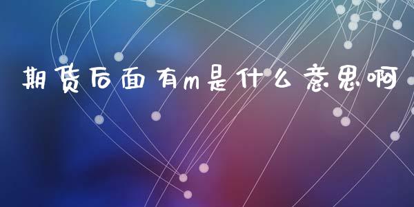 期货后面有m是什么意思啊_https://m.15771688.com_期货手续费_第1张