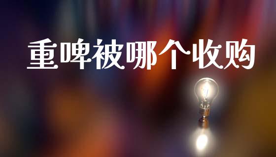重啤被哪个收购_https://m.15771688.com_美国道指_第1张