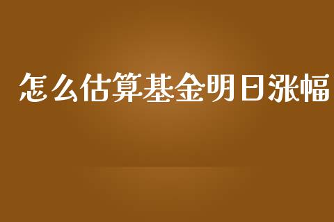怎么估算基金明日涨幅_https://m.15771688.com_期货开户_第1张
