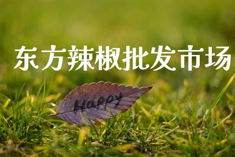 东方辣椒批发市场_https://m.15771688.com_期货开户_第1张