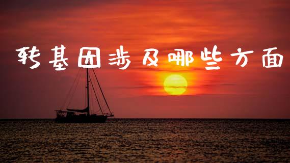 转基因涉及哪些方面_https://m.15771688.com_期货开户_第1张