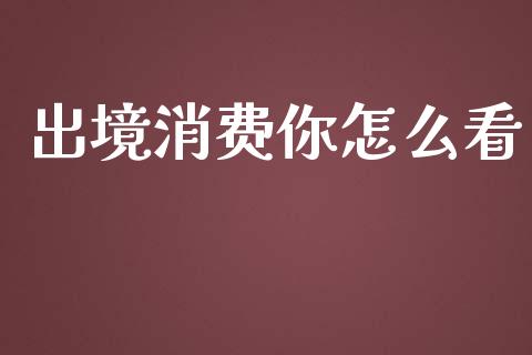出境消费你怎么看_https://m.15771688.com_期货开户_第1张