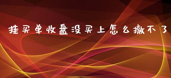 挂买单收盘没买上怎么撤不了_https://m.15771688.com_期货开户_第1张